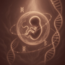 أثر بِدعة الصحة الإنجابية في إعياء الأمومة